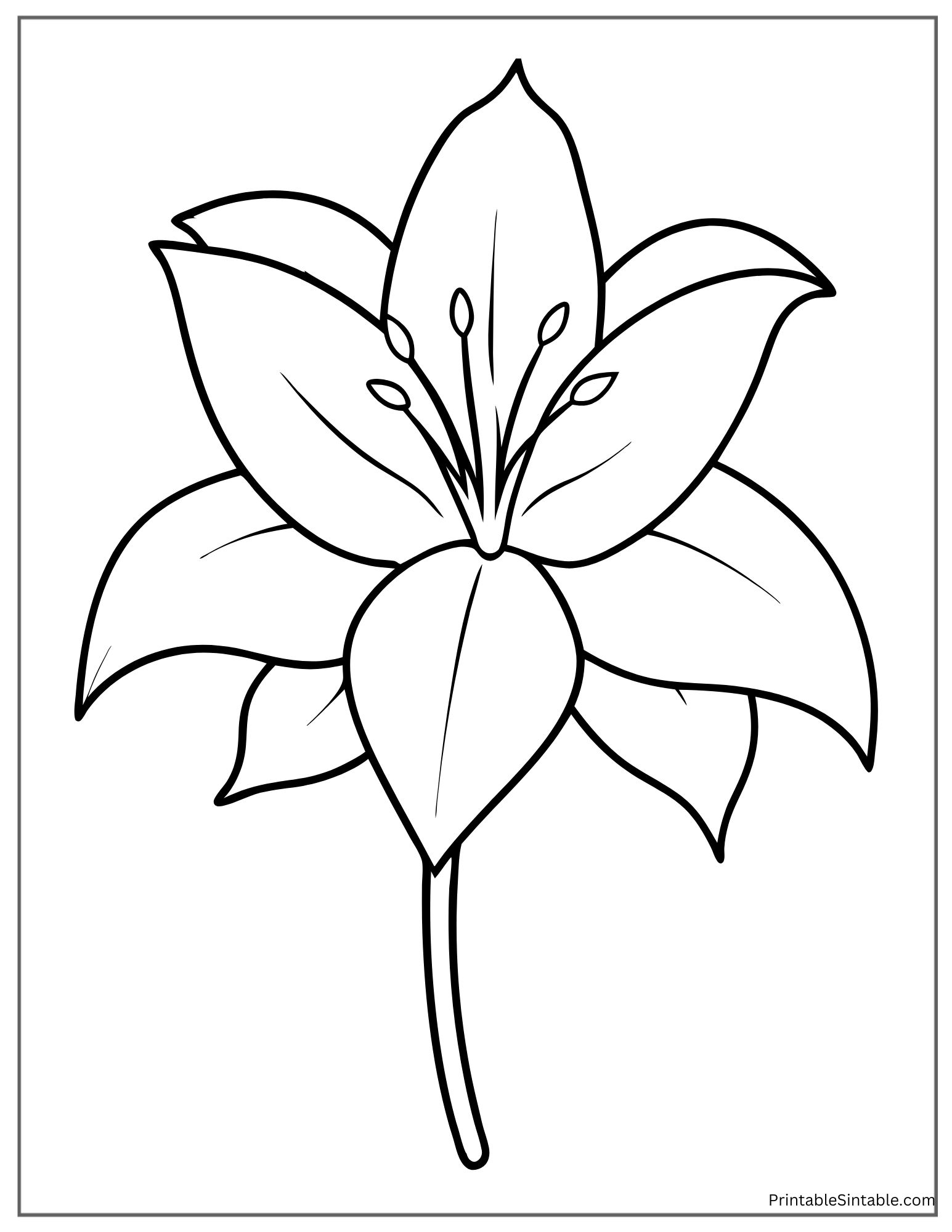 adult coloring lily flower