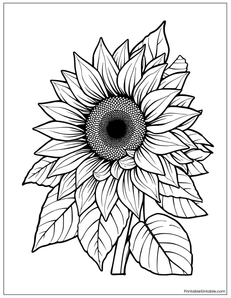 aesthetic sunflower with decorative leaves
