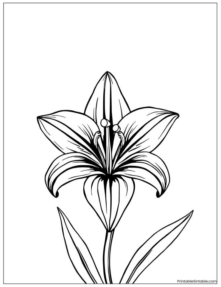 artistic black and white lily design