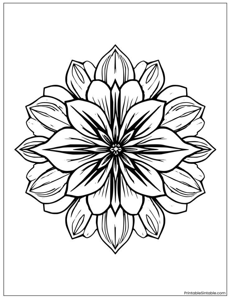 beautiful amaryllis flower mandala