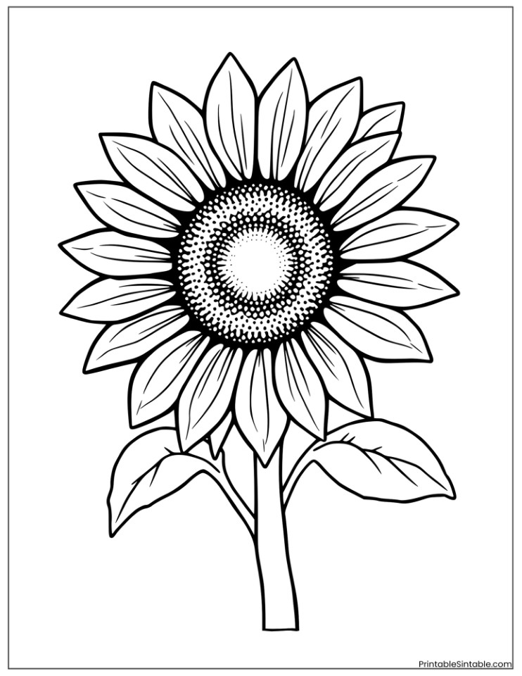 big sunflower