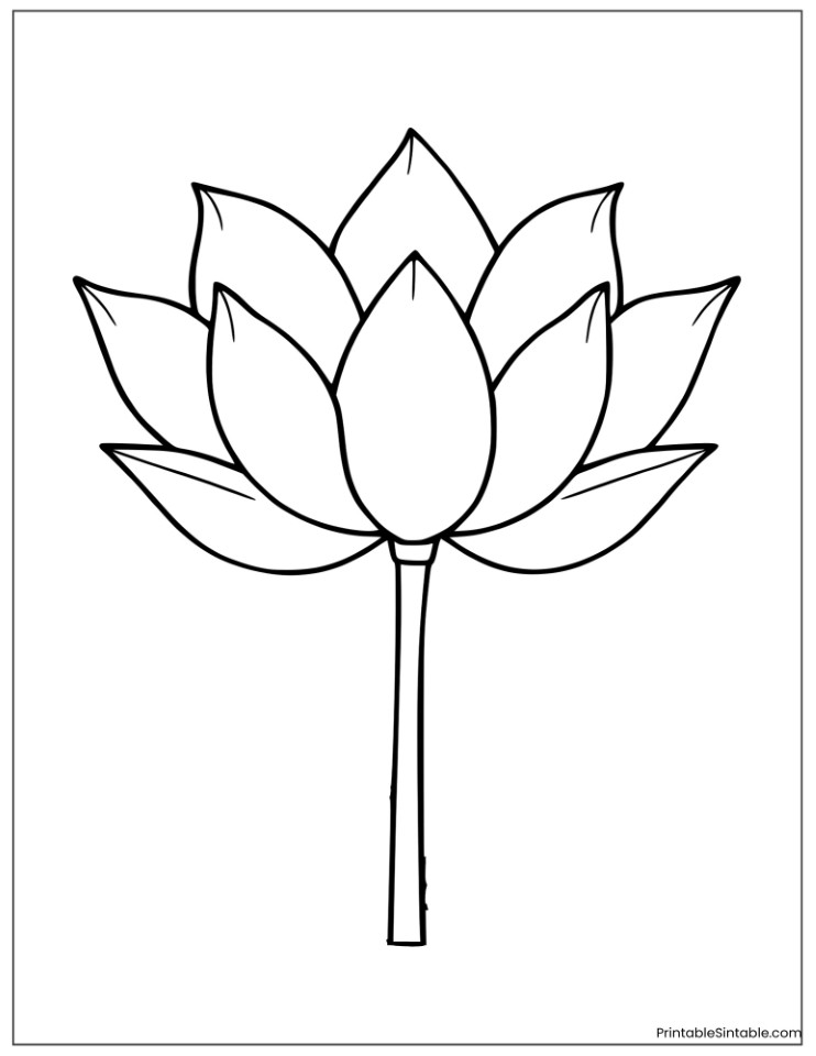 black and white lotus outline