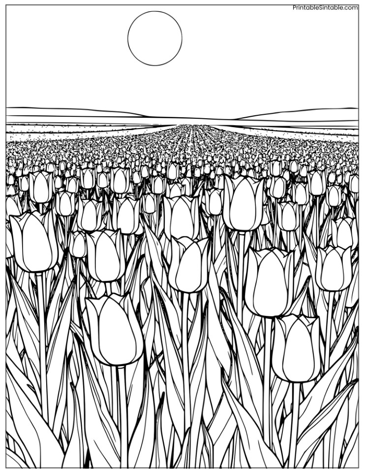 bunga tulip in a field