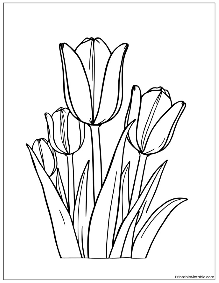 coloring sheet of large tulip bulbs