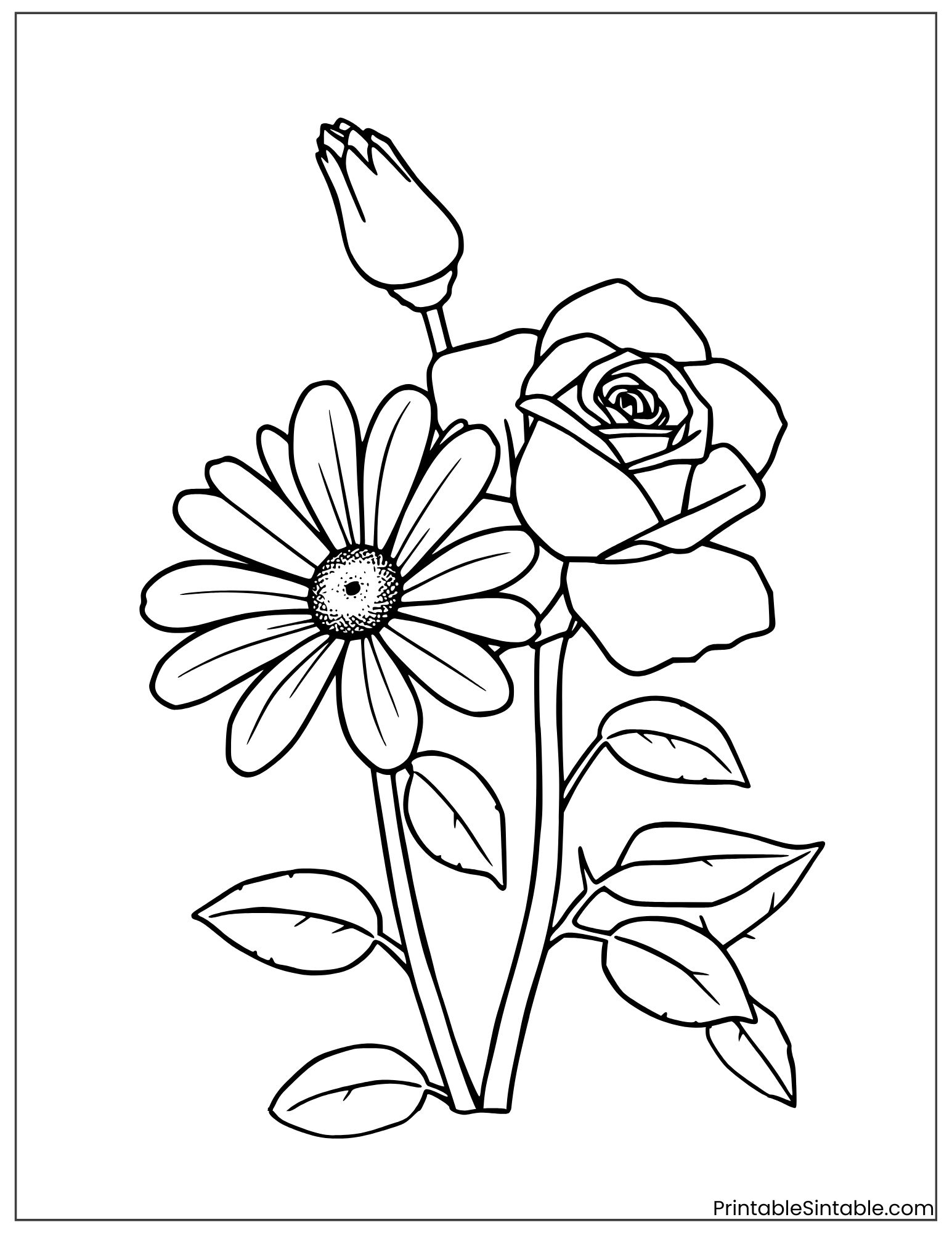 daisy and rose together