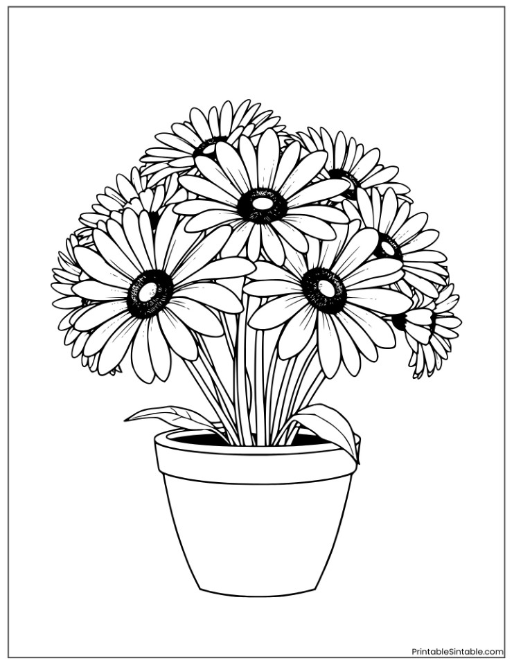 daisy bouquet in a pot