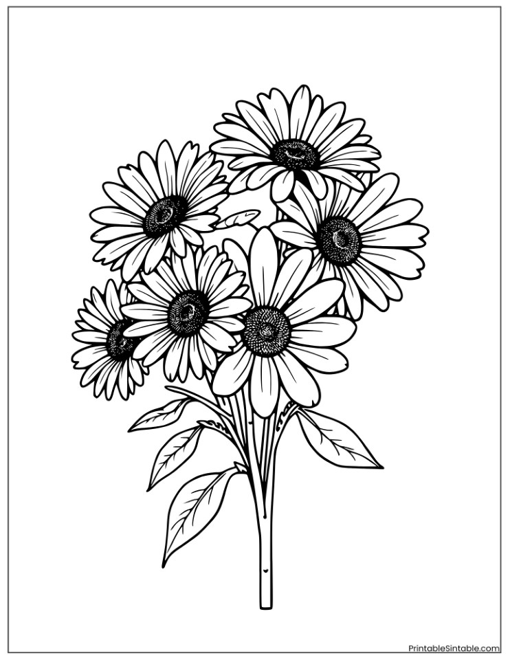 daisy together