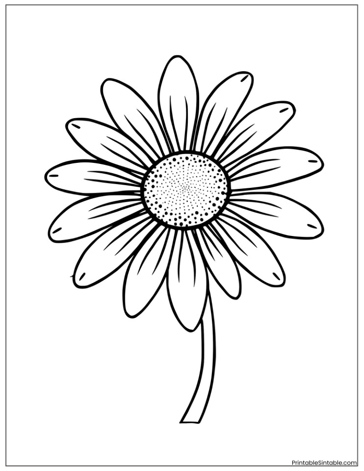 daisy