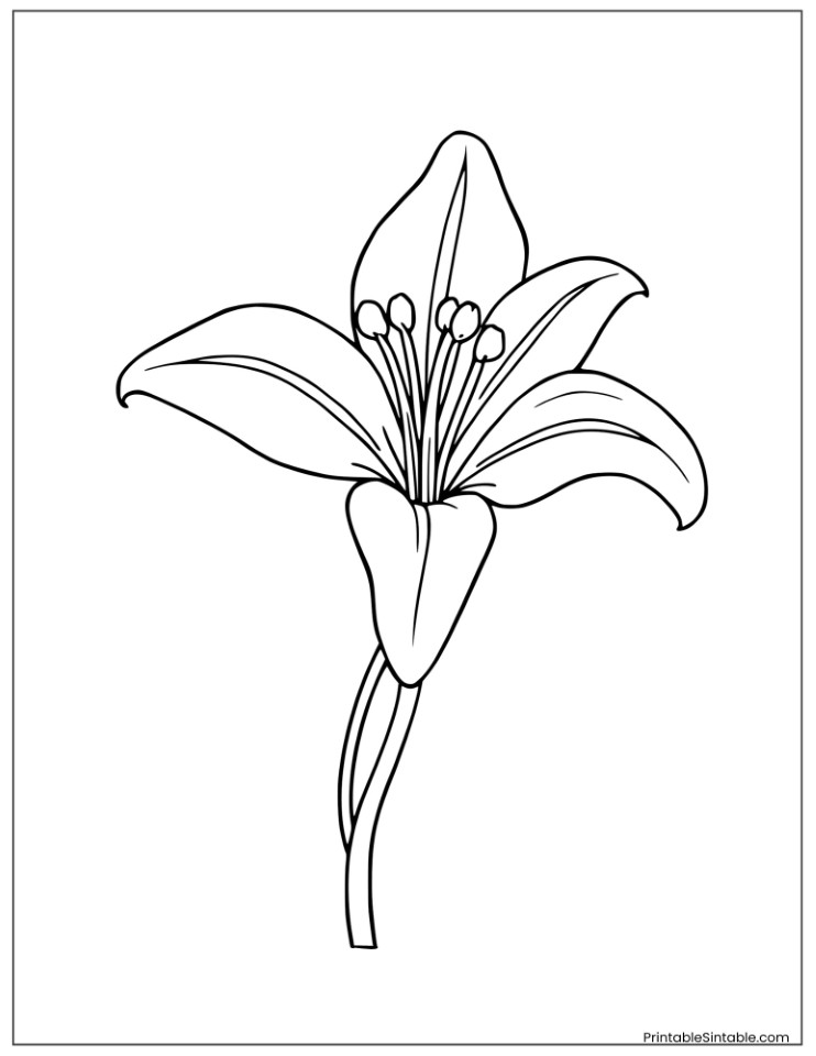easy lily for kids