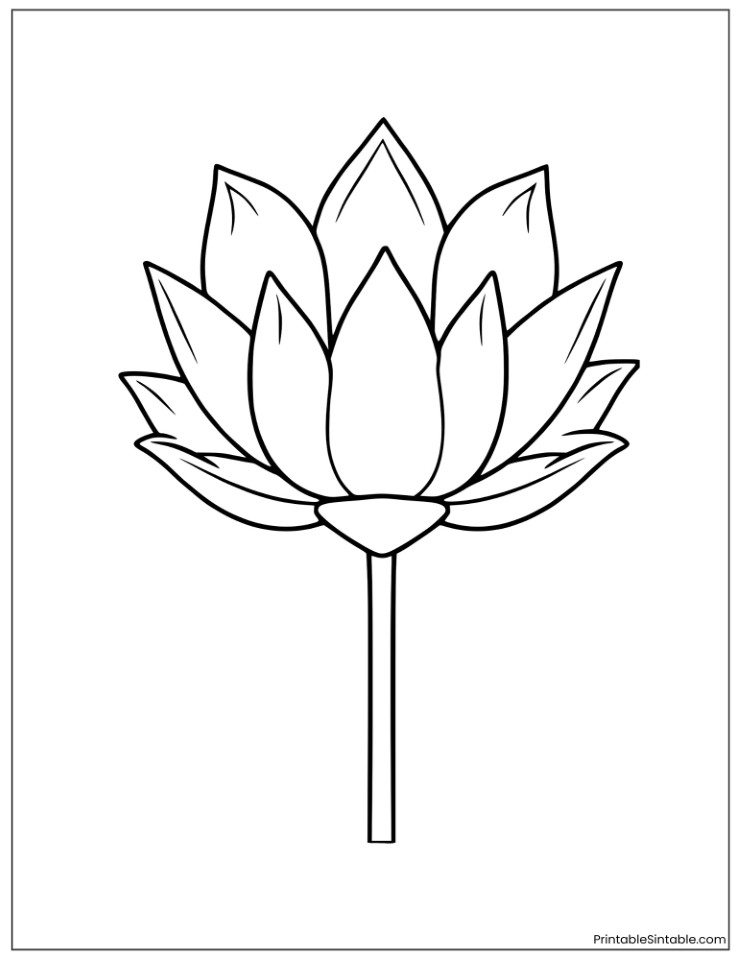 easy lotus for kids