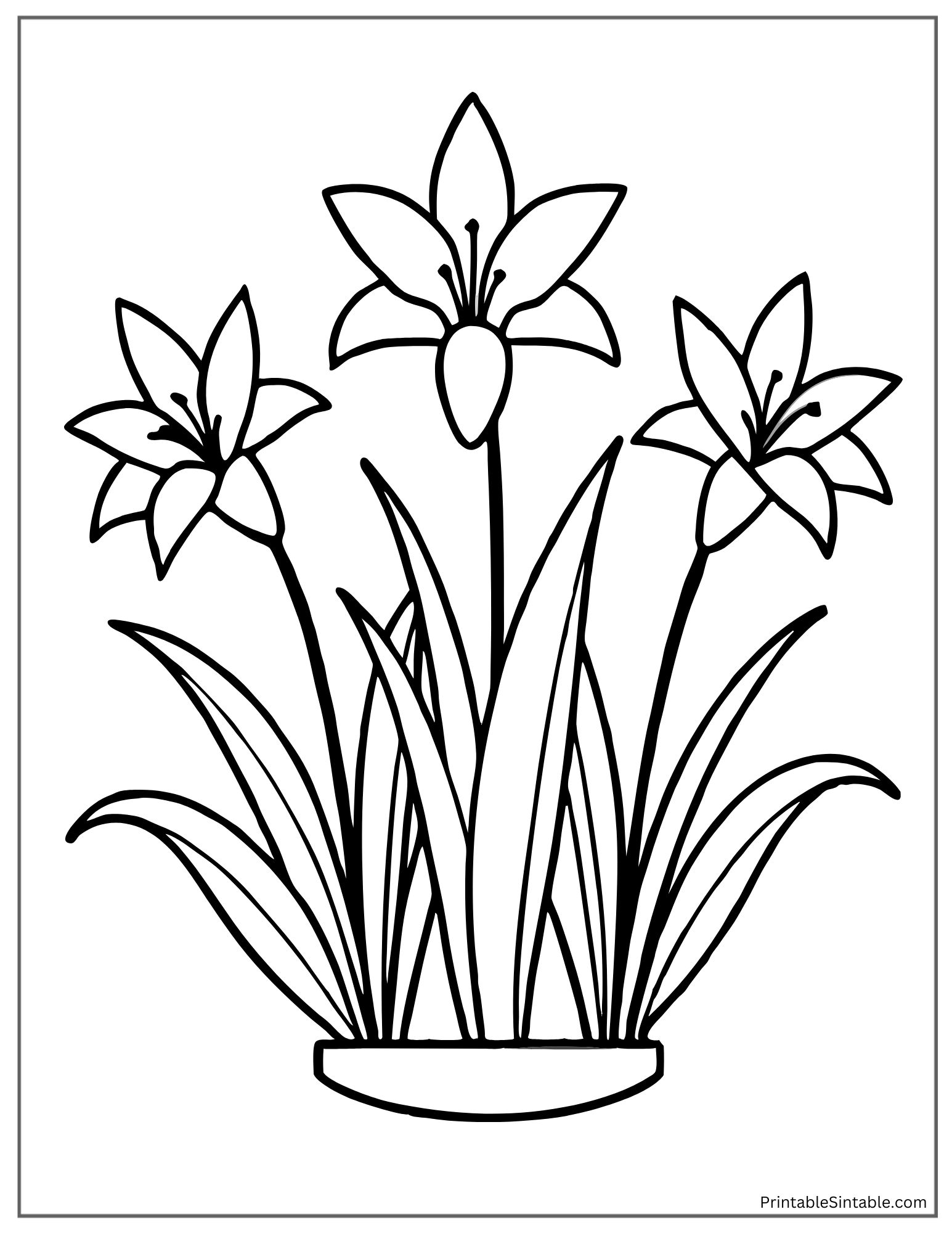 garden scene with lilies and grass