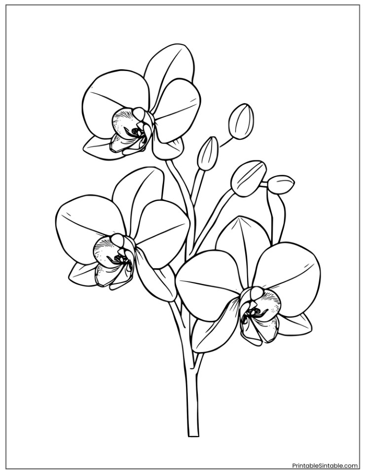 hawaiian cymbidium orchid bouquet