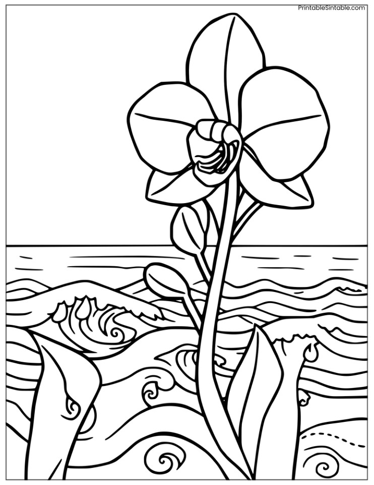hawaiian orchid with waves
