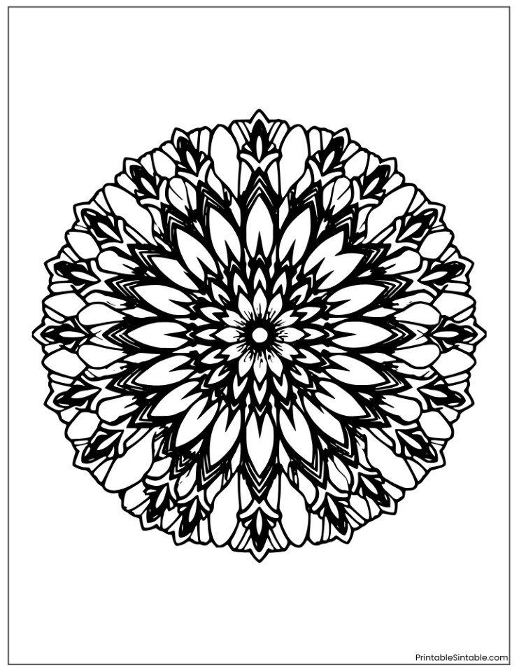 intricate daisy petal mandala