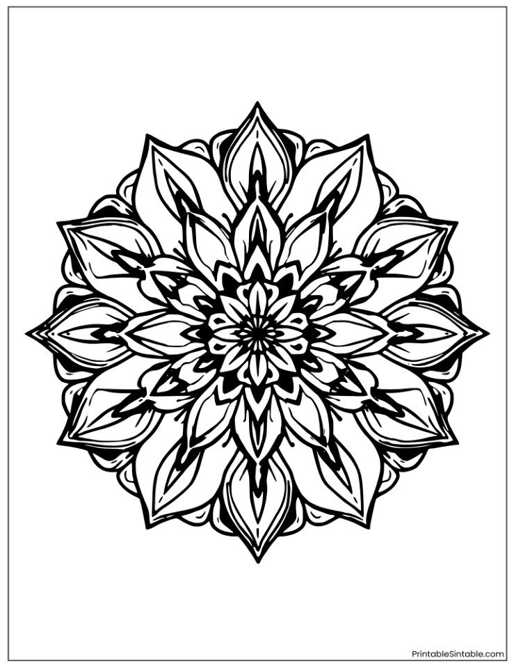 intricate floral lily mandala