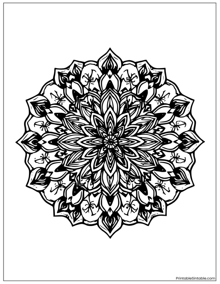 intricate lotus flower mandala