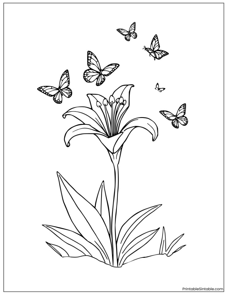 lily flower with butterflies