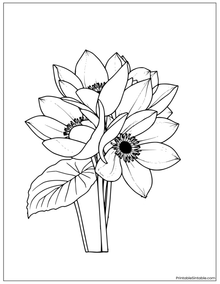 lotus bouquet