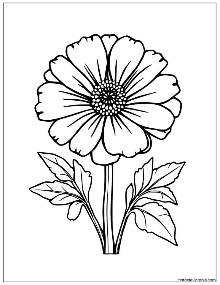 marigold