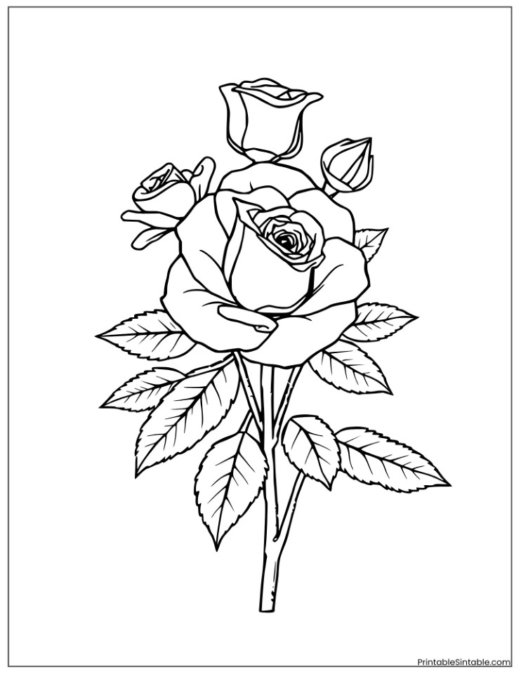 new rose bouquet
