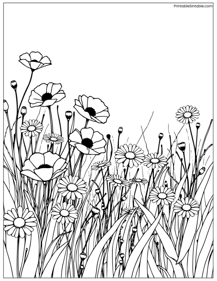 poppy and daisies in a wildflower field