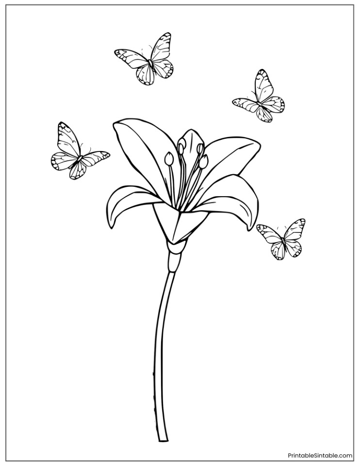 simple lily with butterflies