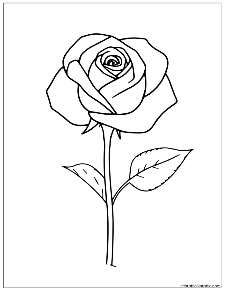 simple rose drawing