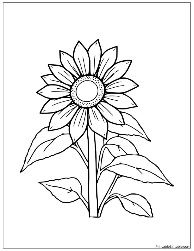 simple sunflower for preschoolers