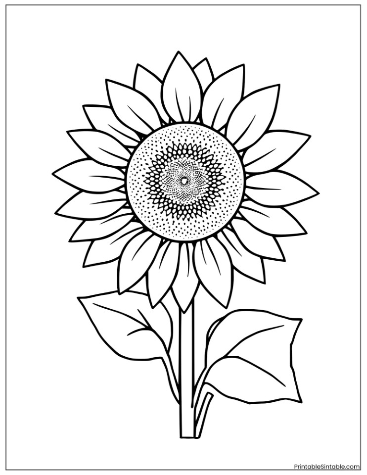 simple sunflower