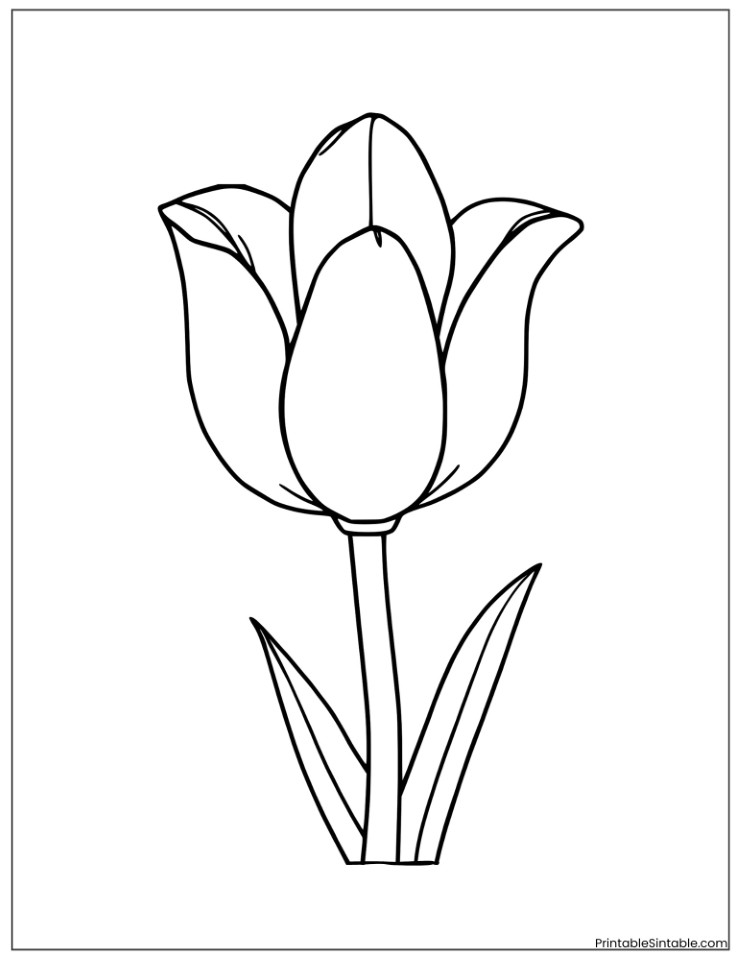 simple tulip for preschoolers
