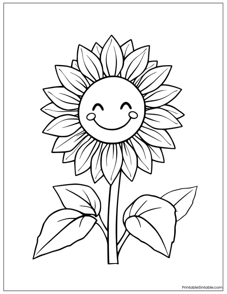 smiling sunflower
