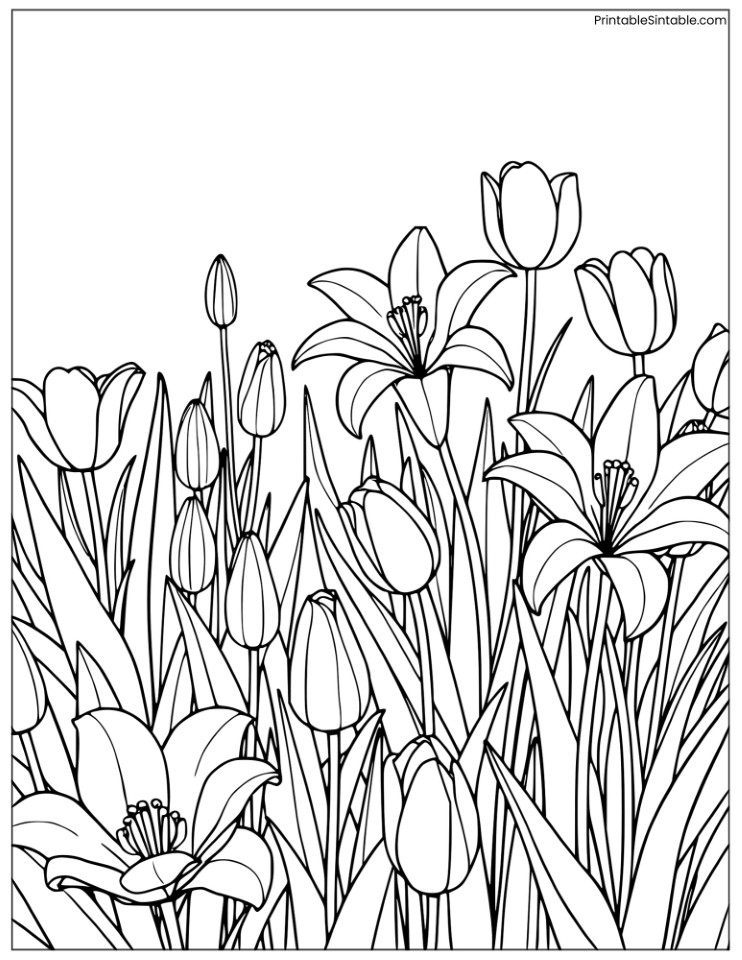 spring garden with lilies and tulips