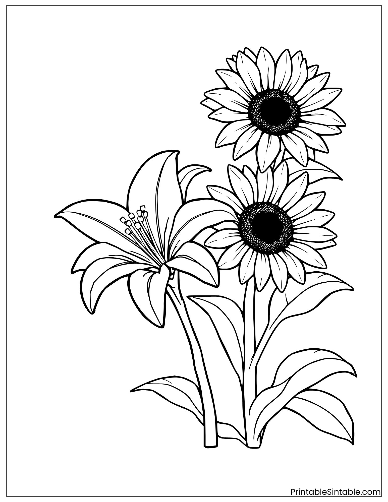 sunflower and lily flower together