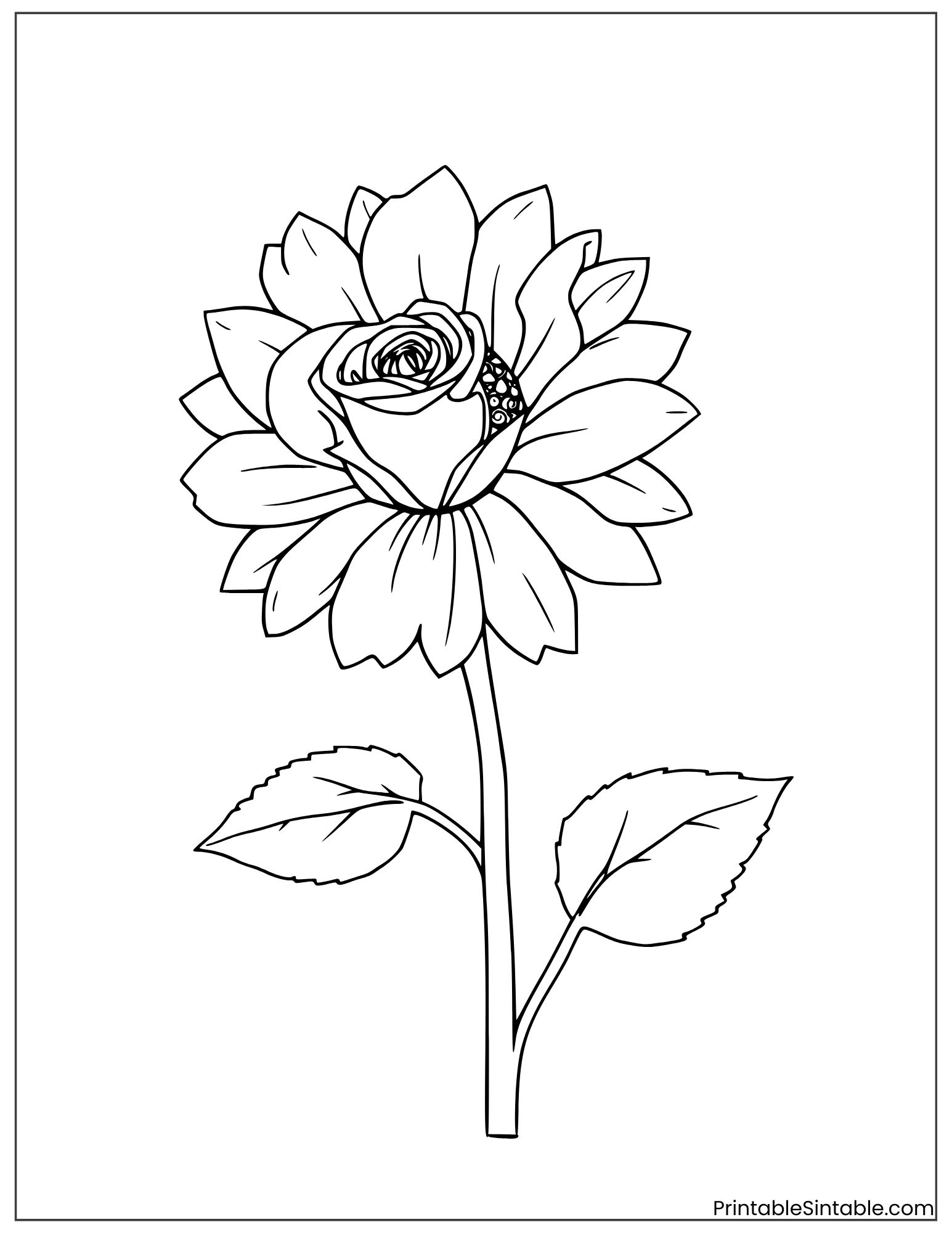 sunflower and rose together