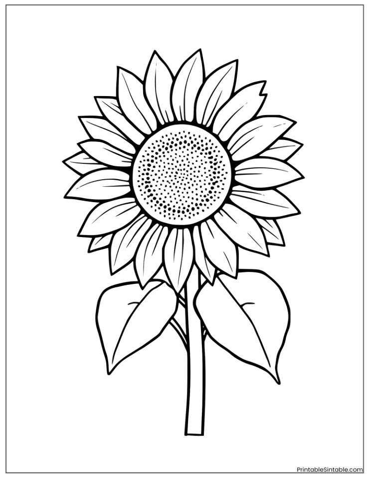 sunflower
