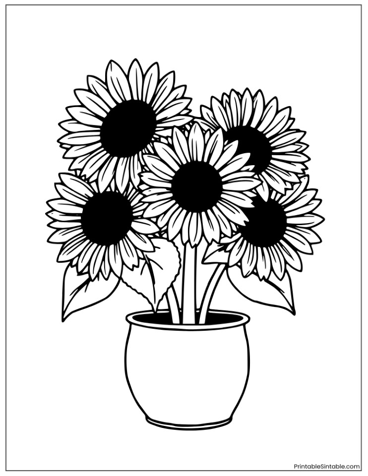 sunflowers in a pot