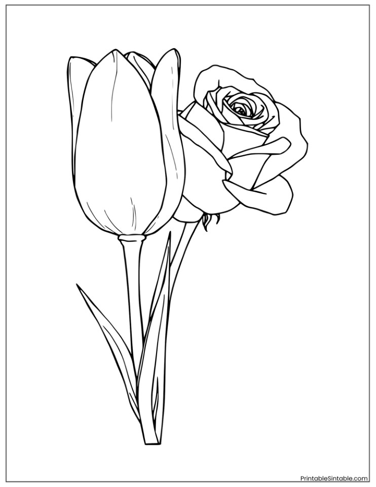 tulip and rose floral duo
