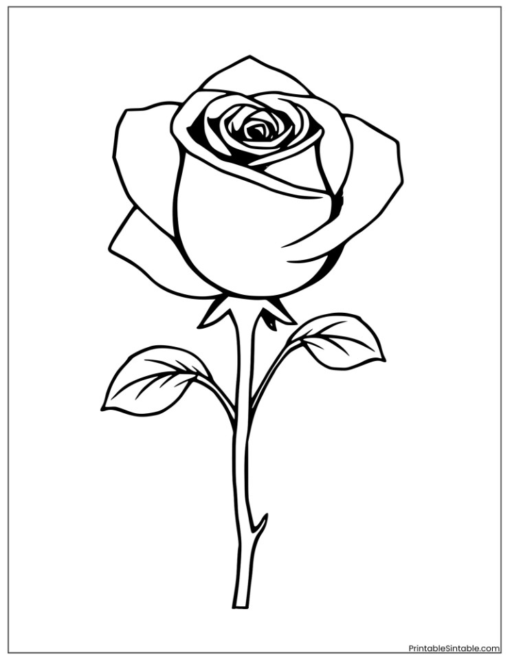 unique fantasy rose